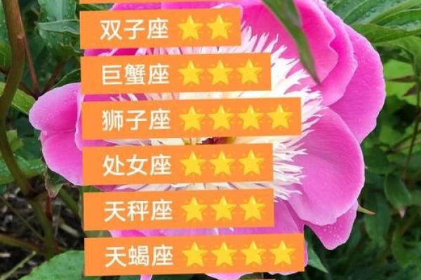 巨蟹座今天的财运(巨蟹座今天的财运方位是什么) 巨蟹座今天的财运(巨蟹座今天的财运方位是什么)