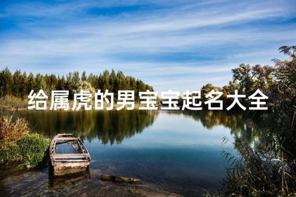 上午出生的属虎男孩适合起什么名，用什么字姓名