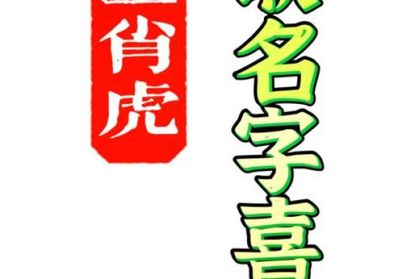 上午出生的属虎男孩适合起什么名，用什么字姓名