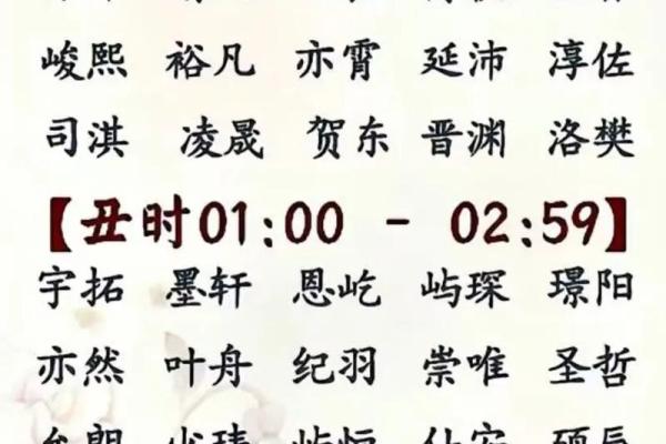 2019年3月24号丑时出生的男孩应该起什么样的名字姓名