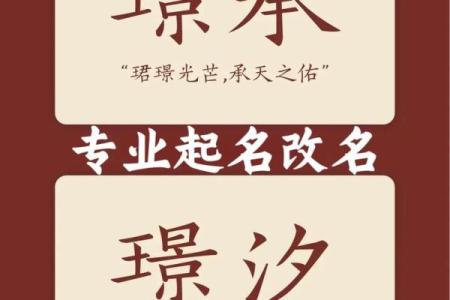 1月份出生的属兔男孩该怎样取名字姓名