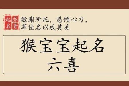 6月份出生的属猴男孩什么名最好-姓名