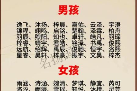2019年6月20号丑时出生的男孩起名方法姓名
