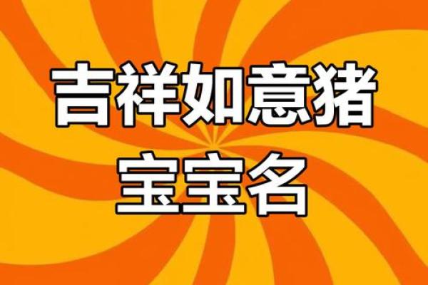 2019年出生属猪的男宝宝取名宜用字姓名