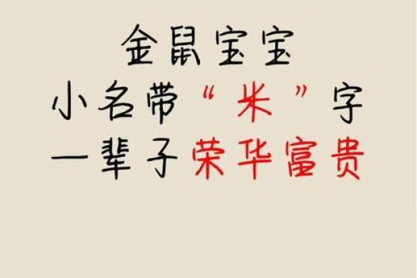 给晚上出生的属鼠男孩起名宜用什么字姓名