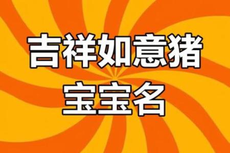 2019年出生属猪的男宝宝取名宜用字姓名