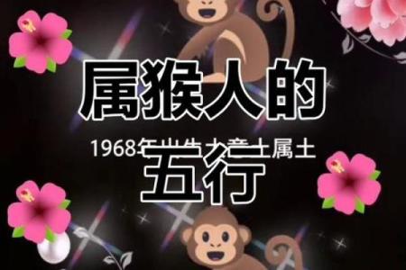 早上八点出生的属猴男孩如何起名，应用什么字姓名