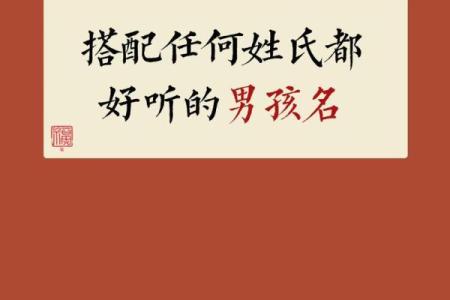2019年5月19号寅时出生的男孩应该起什么样的名字姓名