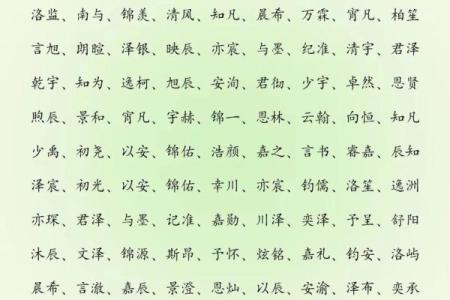 2019年5月13号寅时出生的男孩要怎么起名字姓名