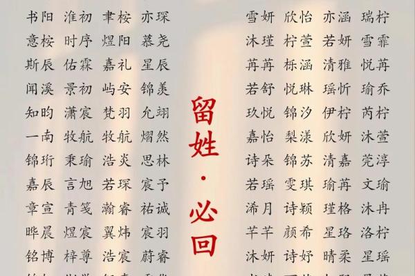 2019年3月17号巳时出生的男孩应该起什么样的名字姓名