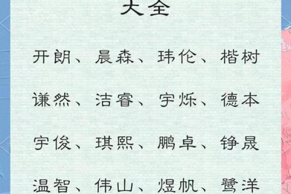2019年3月17号巳时出生的男孩应该起什么样的名字姓名