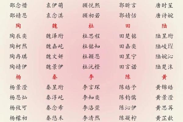 属猪巳时出生的男孩如何取名字，适合用什么字姓名
