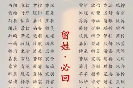 2019年3月17号巳时出生的男孩应该起什么样的名字姓名