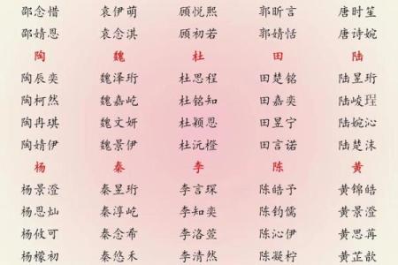 属猪巳时出生的男孩如何取名字，适合用什么字姓名