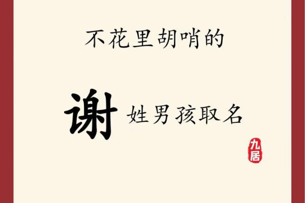 2019年3月25号亥时出生的男孩起名方法姓名