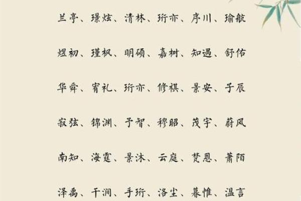 2019年6月19号丑时出生的男孩起名时要注意什么姓名
