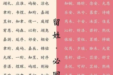 2019年3月29号未时出生的男孩起名时要注意什么姓名