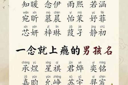 2019年5月31号卯时出生的男孩起名时要注意什么姓名