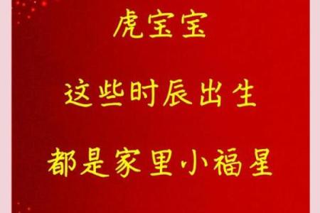 半夜出生的属虎男孩起什么名，应用什么字姓名