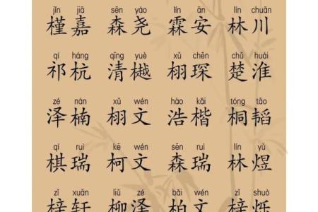 2019年6月29号卯时出生的男孩如何起名姓名