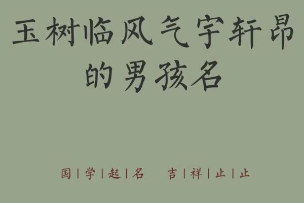 2019年5月8号寅时出生的男孩要怎么起名字姓名