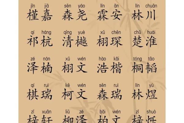 如何给属蛇酉时出生的男孩起名，适合什么字姓名