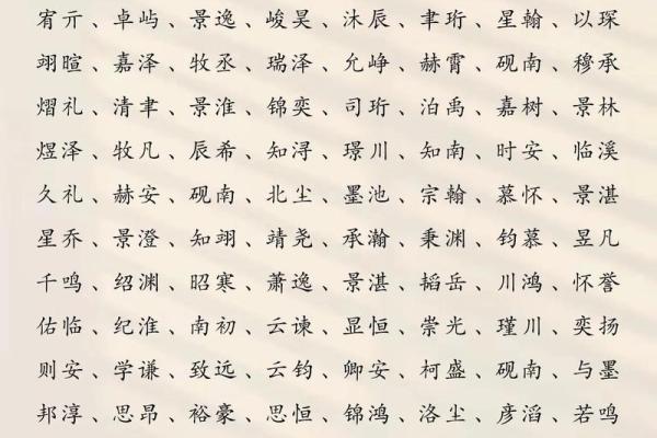 2019年5月5号寅时出生的男孩如何起名姓名