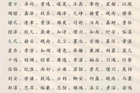 2019年5月5号寅时出生的男孩如何起名姓名