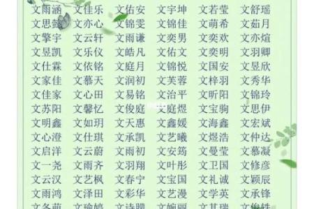 昌姓男孩名字大全-昌姓男孩起名字大全-昌姓名字大全姓名