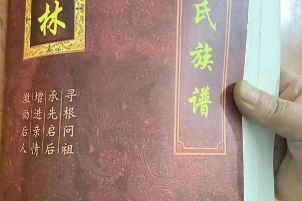 林姓男孩名字大全-林姓男孩起名字大全-林姓名字大全姓名