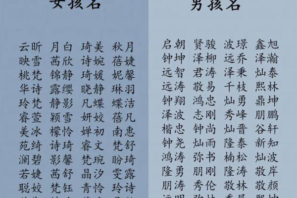 中午1点出生的属鸡男孩取名字适合用哪些字姓名