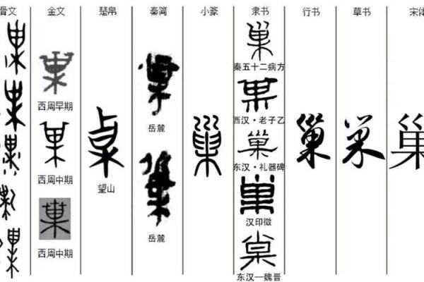姓巢的名人-姓名学-华易算命网姓名