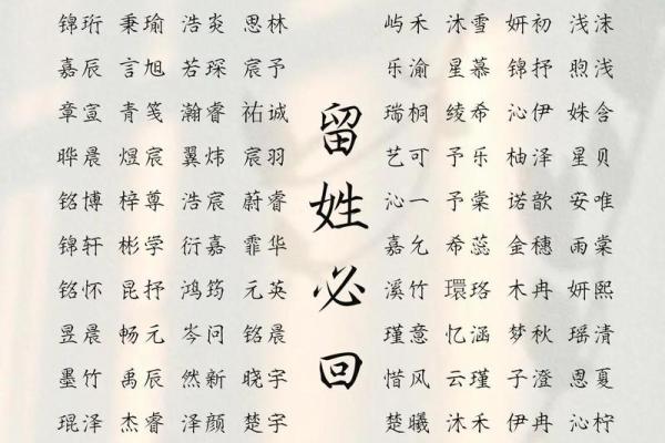 2019年3月5号出生的男孩起什么名字好，五行属什么姓名