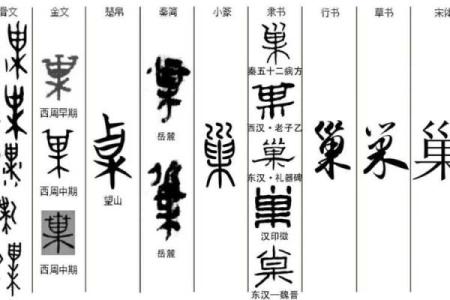 姓巢的名人-姓名学-华易算命网姓名