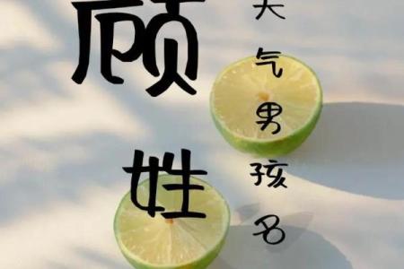 顾姓男孩名字大全-顾姓男孩起名字大全-顾姓名字大全姓名