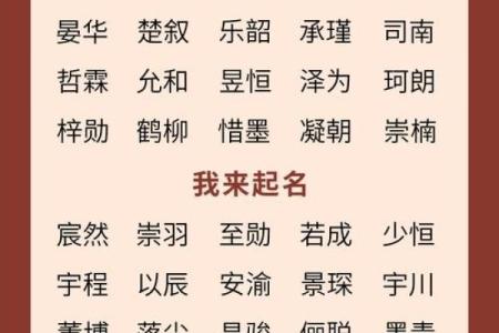 2019年3月19号申时出生的男孩起名时要注意什么姓名