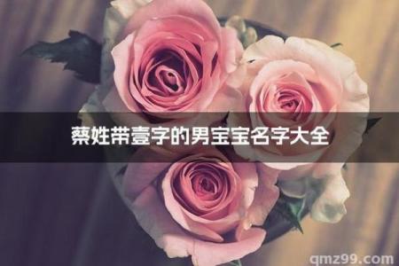 蔡姓男孩名字大全-蔡姓男孩起名字大全-蔡姓名字大全姓名
