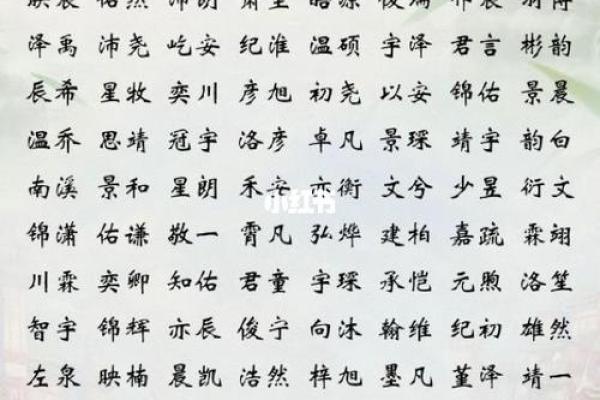 2019年5月12号子时出生的男孩如何起名姓名