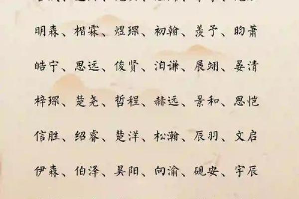 2019年5月21号丑时出生的男孩要怎么起名字姓名