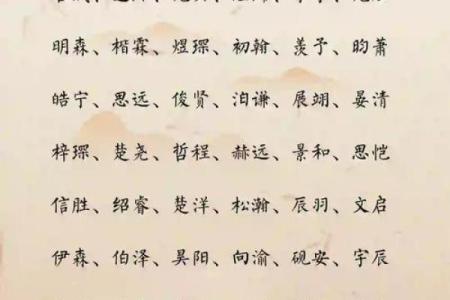 2019年5月21号丑时出生的男孩要怎么起名字姓名