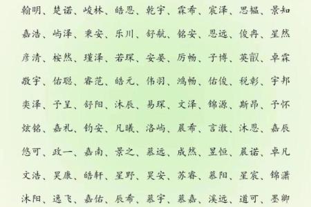 2019年6月21号卯时出生的男孩起名方法姓名
