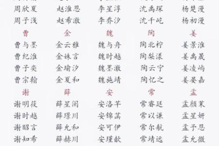 2021端午节出生的五行缺金起名推荐,起名带什么字好姓名
