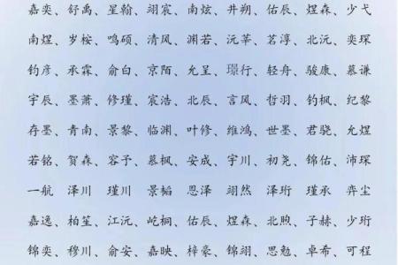 2019年3月30号酉时出生的男孩起名方法姓名