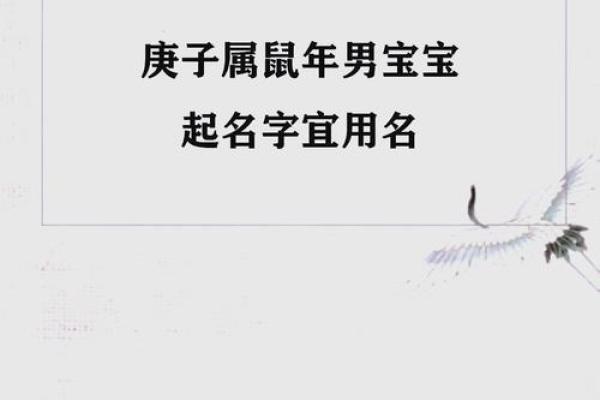 要怎么给晚上12点出生的属鼠男孩起名合适姓名 要怎么给晚上12点出生的属鼠男孩起名合适姓名