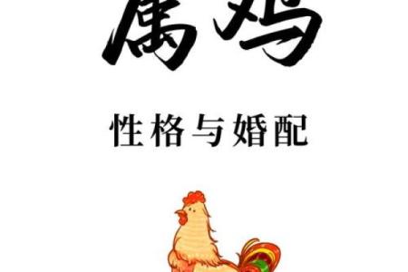 属鸡子时出生的男孩该如何起名，宜用什么字姓名