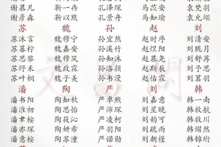 属猪子时出生的男孩如何起名，适合什么字姓名
