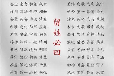 2019年3月26号酉时出生的男孩要怎么起名字姓名