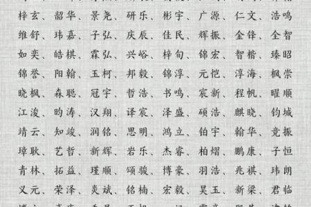 2019年3月22号卯时出生的男孩应该起什么样的名字姓名