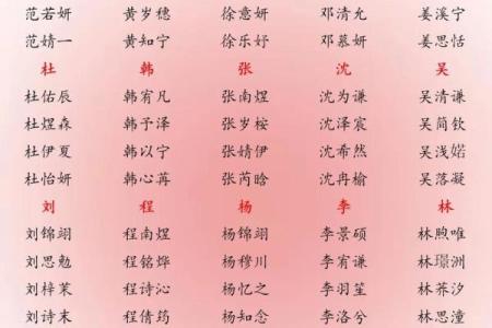 乐姓男孩名字大全-乐姓男孩起名字大全-乐姓名字大全姓名