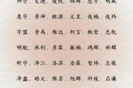 2019年5月7号子时出生的男孩如何起名姓名